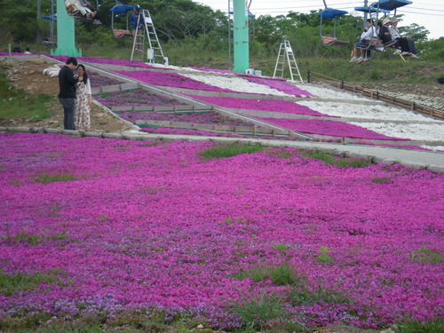DSCN6239