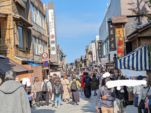 PXL_20231127_030551646~2