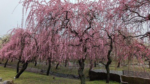 PXL_20260303_025256601