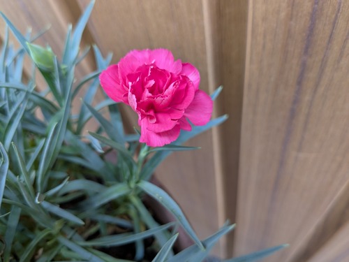 PXL_20250807_073154283