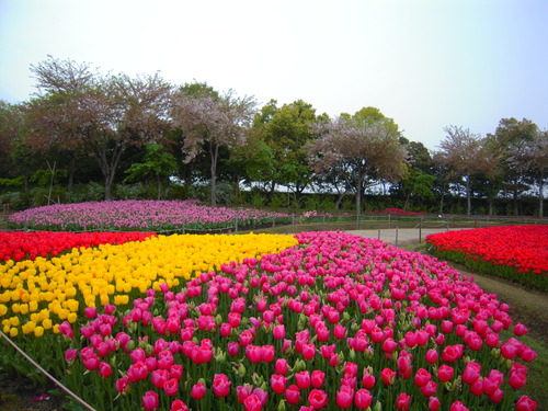DSCN5327