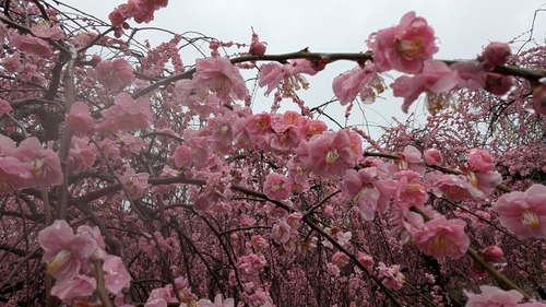 PXL_20260303_025321002