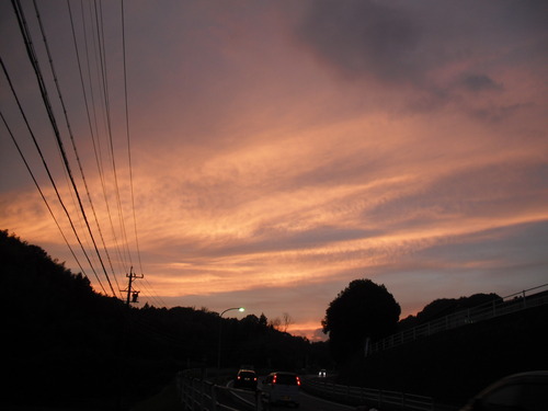 DSCF0118