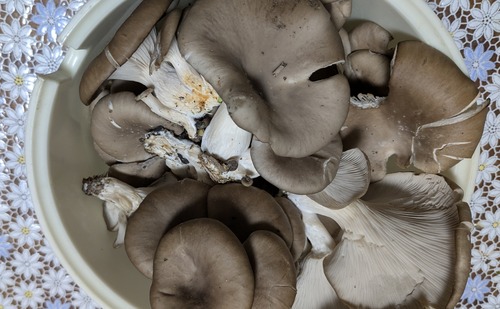 PXL_20251104_233301719