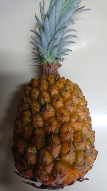 DSC_0001_BURST20200706085906711