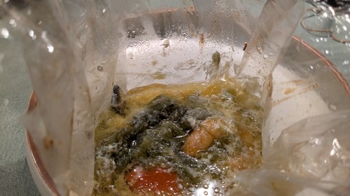 PXL_20260217_033022910