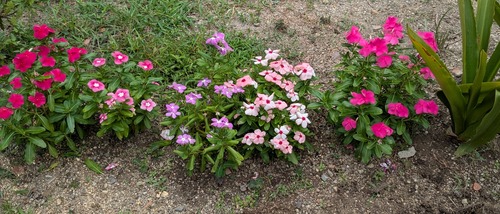 PXL_20250807_022727055