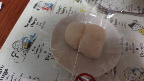 DSC_0007_BURST20210723202815675