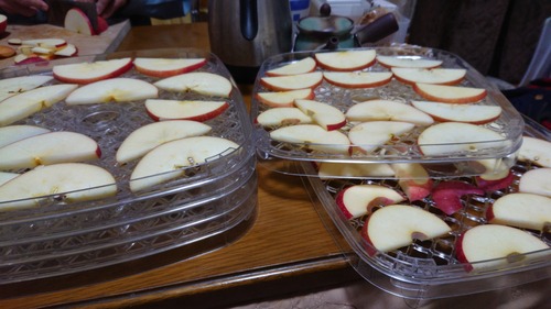 DSC_0001_BURST20230215213605823