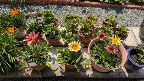 PXL_20260324_013335979