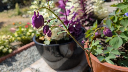 PXL_20260324_013232069