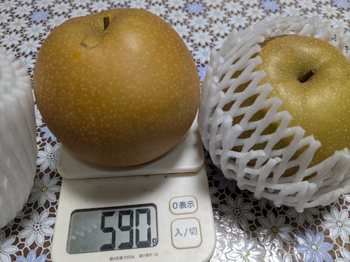 PXL_20250904_233249295