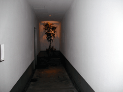 2bd1b6a2.gif
