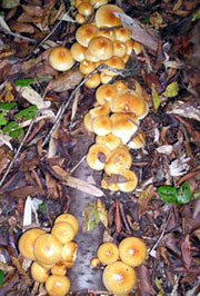 2c2f0623.jpg