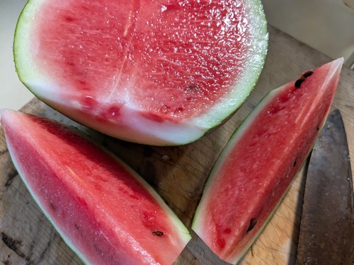 PXL_20250928_065355228