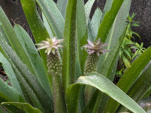 PXL_20240628_005410609