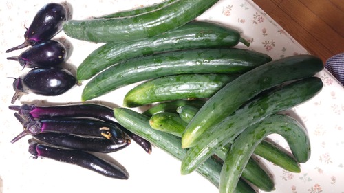 DSC_0001_BURST20200710082640173