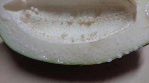 DSC_0000_BURST20201019095850055