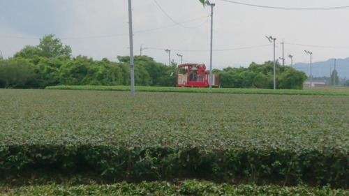 DSC_0001_BURST20200701140712130