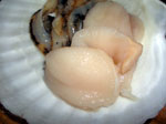 32b30fa2.jpg
