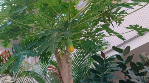 DSC_0000_BURST20201015135601449