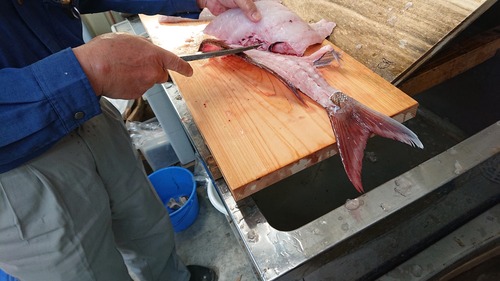 DSCPDC_0001_BURST20210530163851178_COVER