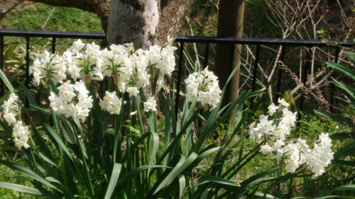 DSC_0000_BURST20210329130838823