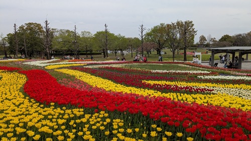 PXL_20260409_030717197