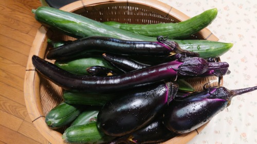 DSC_0001_BURST20200710082503523