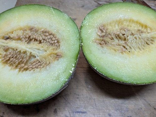 PXL_20250813_232321502