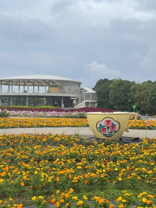 FB_IMG_1634128819607