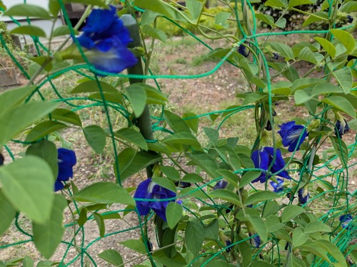 PXL_20250807_022635496