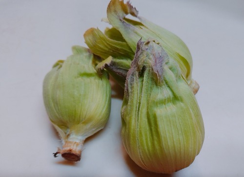 2021-02-14-17-28-42-812