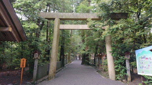 DSC_0000_BURST20210519145733928