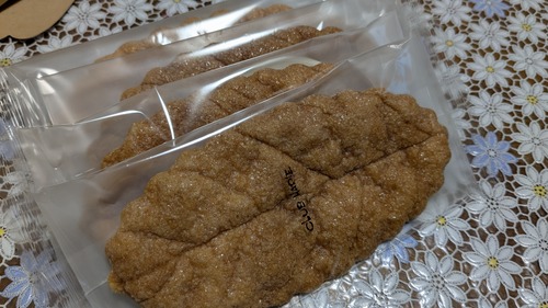 PXL_20251029_094149759