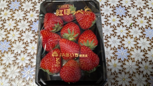 PXL_20260516_054424633
