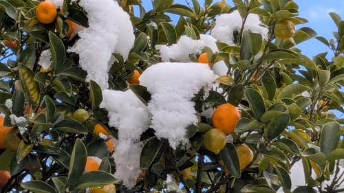 PXL_20260122_022759861