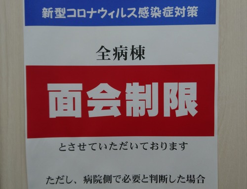 DSC_0000_BURST20200712171527194