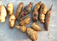 455bf981.jpg