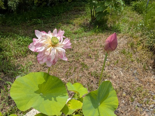 PXL_20250704_030447347