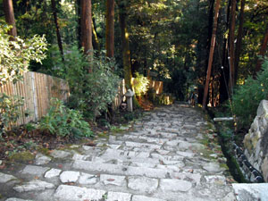 46198725.jpg