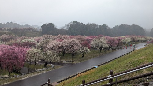 PXL_20260303_024804778