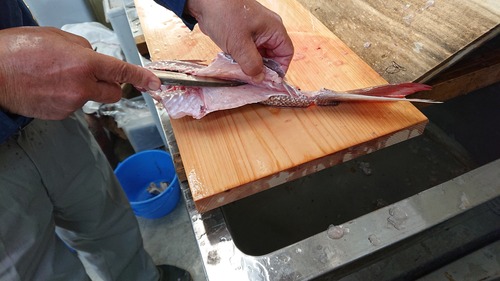 DSCPDC_0001_BURST20210530163810168