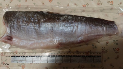 DSC_0001_BURST20200606141742923