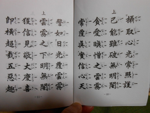 DSCN6394