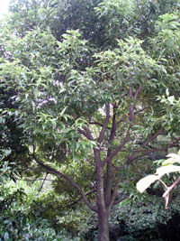 4cc740fd.jpg