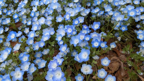 PXL_20260409_030604655