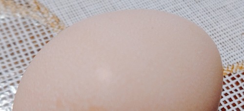 2021-03-13-15-31-42-792