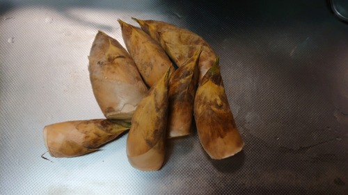 DSC_0001_BURST20200226181452705