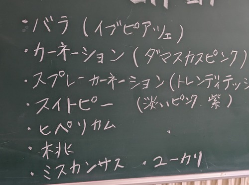 PXL_20240217_022221159